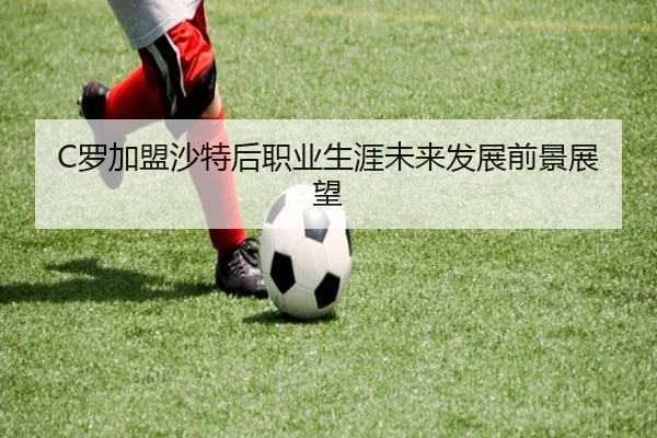 luo-jia-meng-sha-te-hou-zhi-ye-sheng-ya-wei-lai-fa-zhan-qian-jing-zhan-wang-2-365.jpg