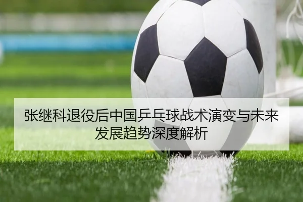 张继科退役后中国乒乓球战术演变与未来发展趋势深度解析