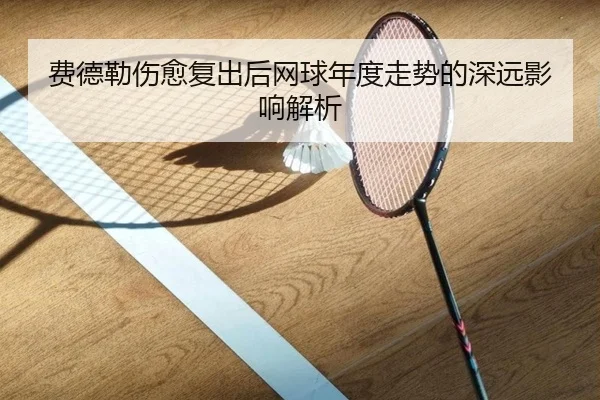费德勒伤愈复出后网球年度走势的深远影响解析
