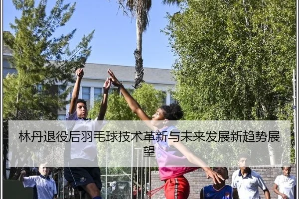 林丹退役后羽毛球技术革新与未来发展新趋势展望