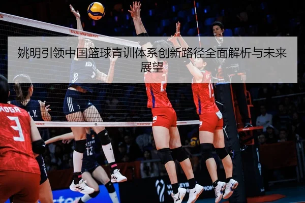姚明引领中国篮球青训体系创新路径全面解析与未来展望