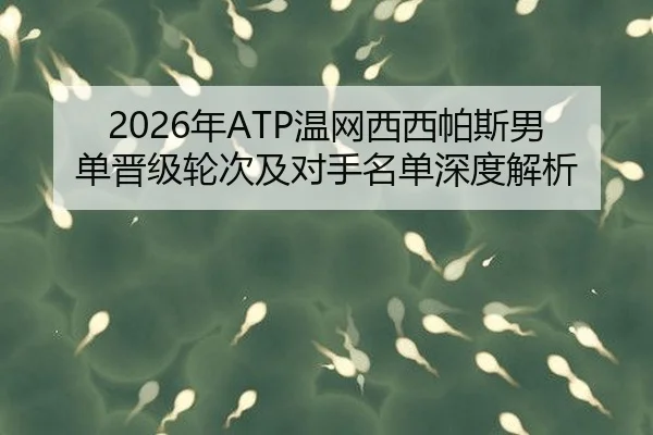 2026年ATP温网西西帕斯男单晋级轮次及对手名单深度解析